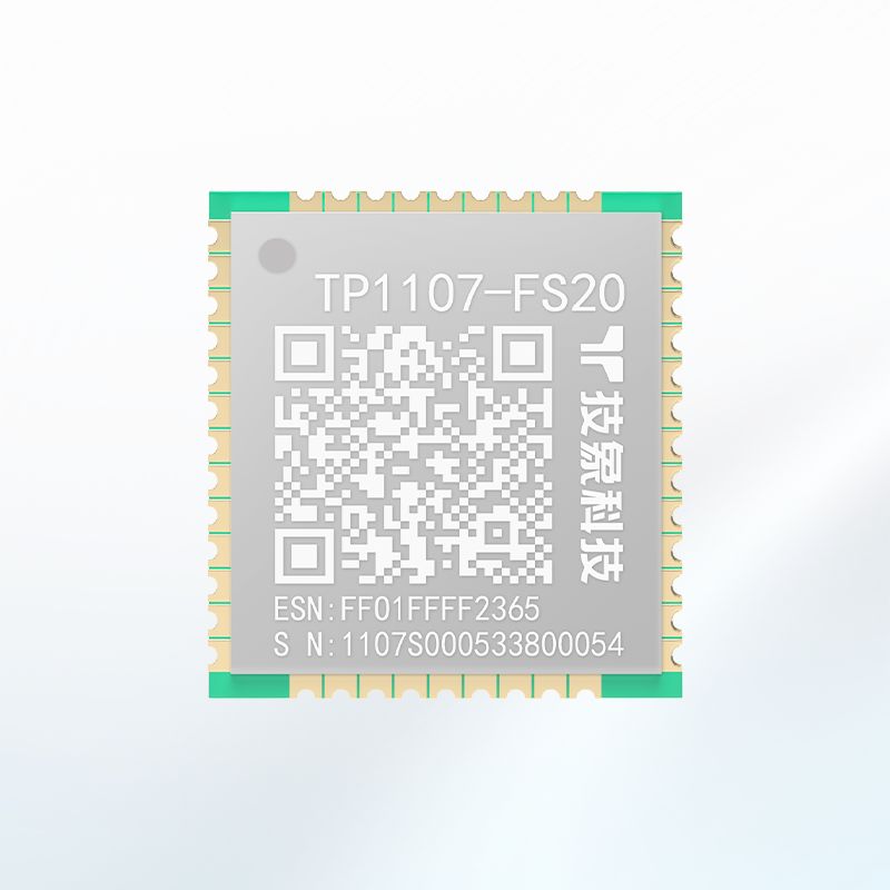 TP1107-FS20